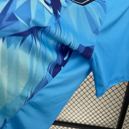 Pays-Bas – Maillot Concept – 2024/2025 – Version Fan