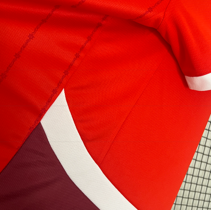 Suisse – Maillot Domicile – 2024/2025 – Version Fan