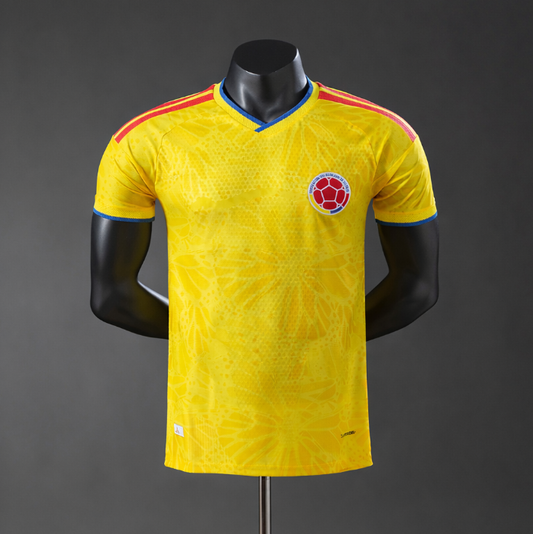 Colombie – Domicile 2025/2026