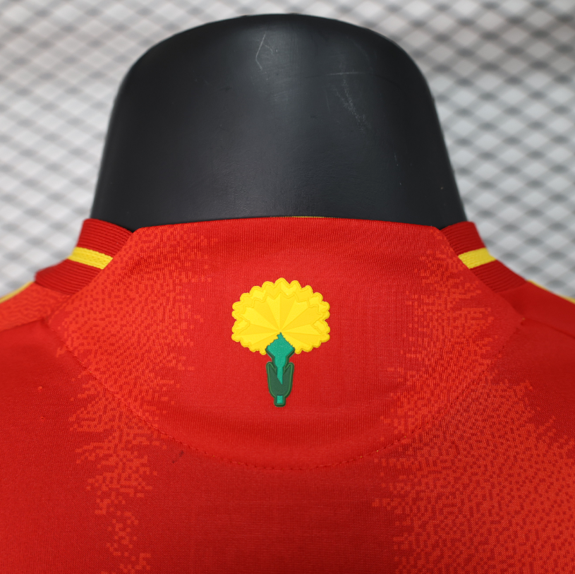 Espagne 2024/2025 – Domicile