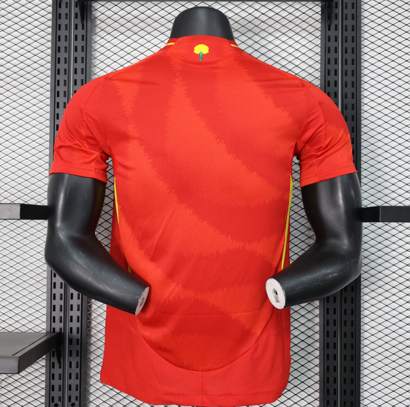 Espagne 2024/2025 – Domicile