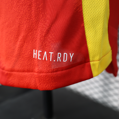 Espagne – Maillot Domicile – 2024/2025 – Version Player