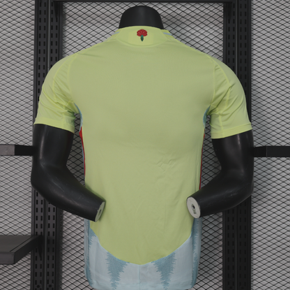 Espagne – Maillot Extérieur – 2024/2025 – Version Player