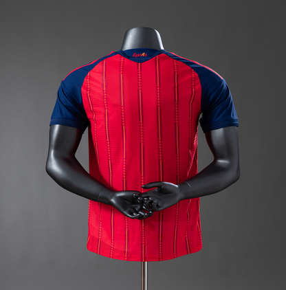 Espagne – Maillot Domicile Champion – 2025/2026 – Version Player